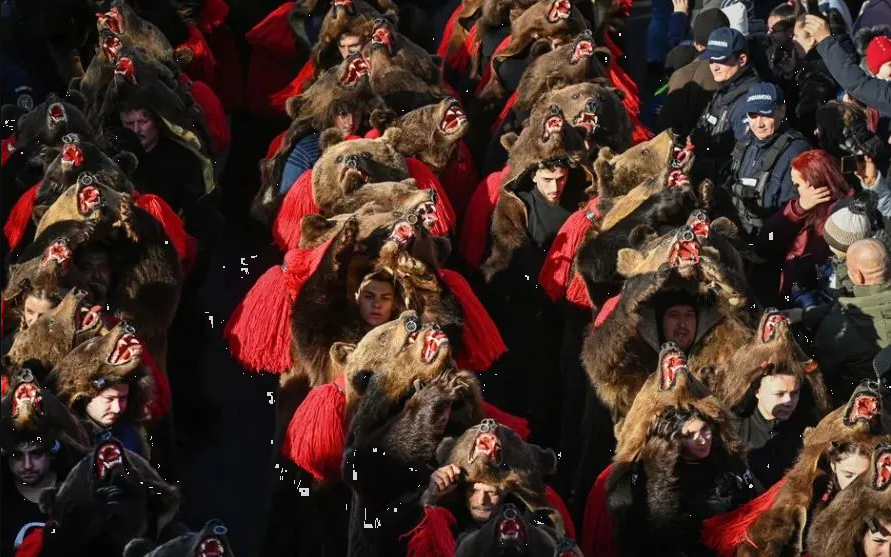 Desfile de osos en Rumanía se convierte en una nueva atracción turística