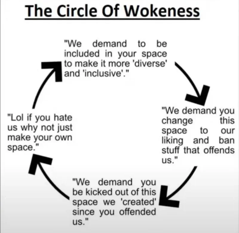 while-i-hate-the-term-woke-this-seems-pretty-accurate-to-v0-xmupl0rz8pyc1.webp