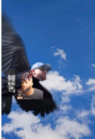 Crow-Brady.png