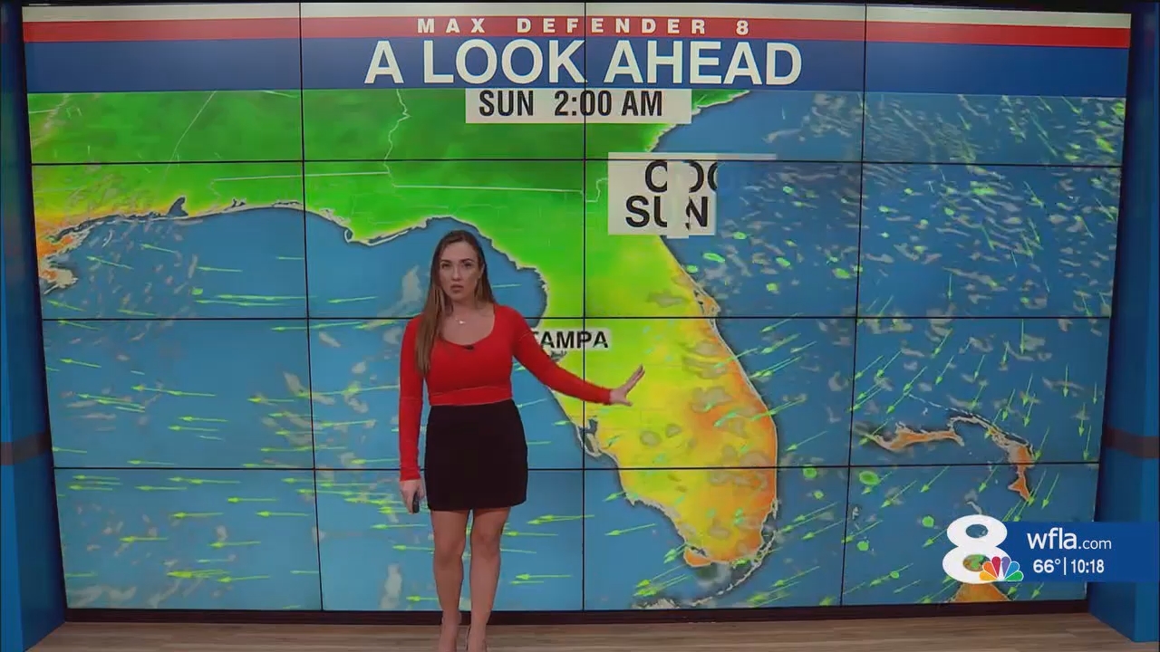 NewsChannel 8 News at 1000pm_20241116_03000330.ts_snapshot_18.55.199