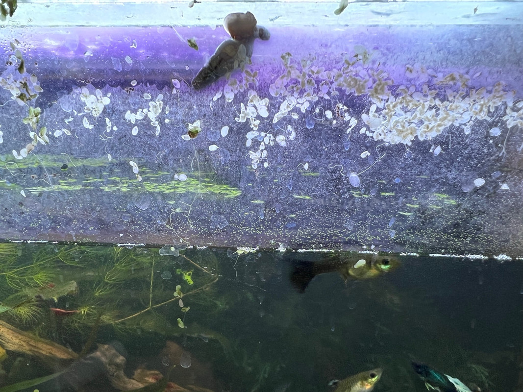 C1A3C5C9-DD41-4908-8BAA-8B8C53E1DED9