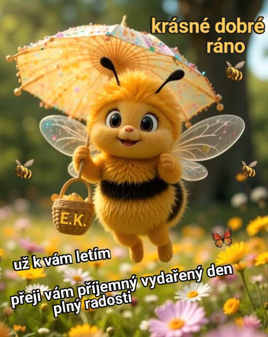 649827165-896625213361763-7761882697042849170-n