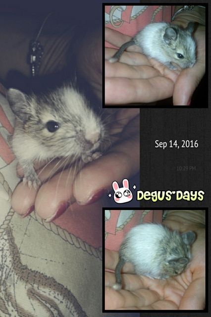 img1473882011997