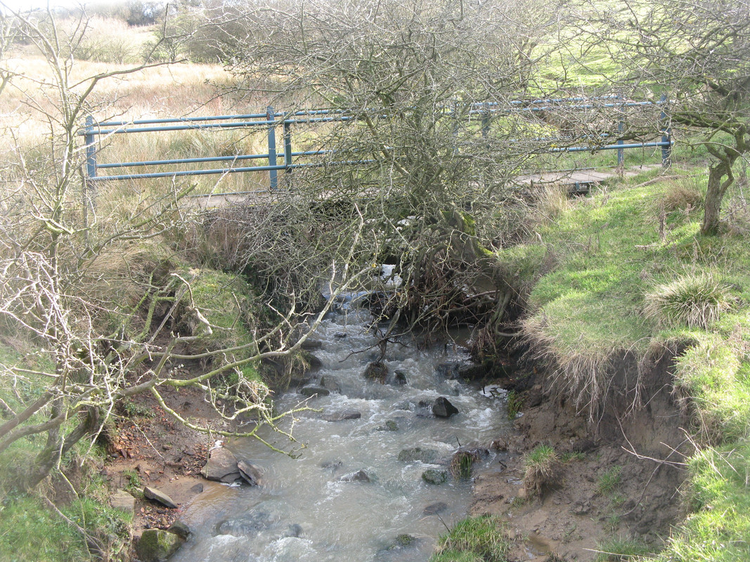 8E1BBDA7-AF52-4263-92D0-7CD1CB9CE522