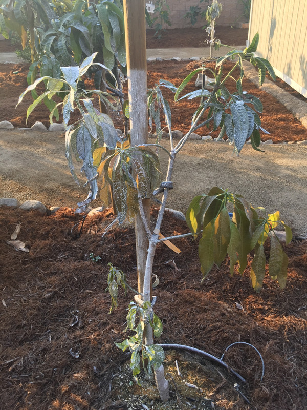 A7805F4F-1DF1-4F9E-946C-35F08C43502E