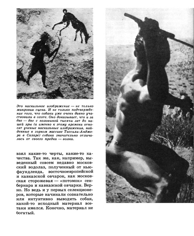 p0019