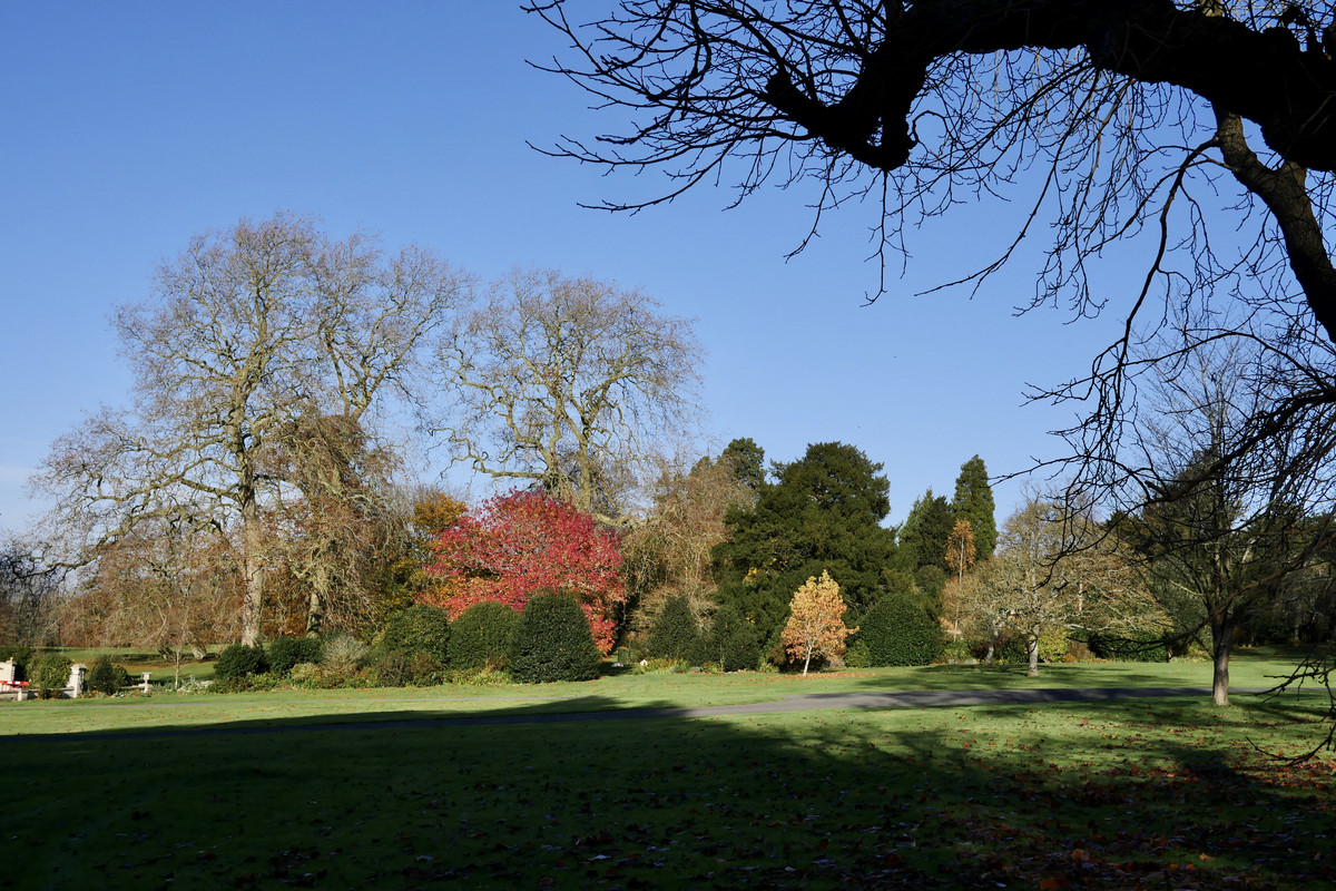 7A13DC58-609E-4BE4-8B5F-BF0596B662BC