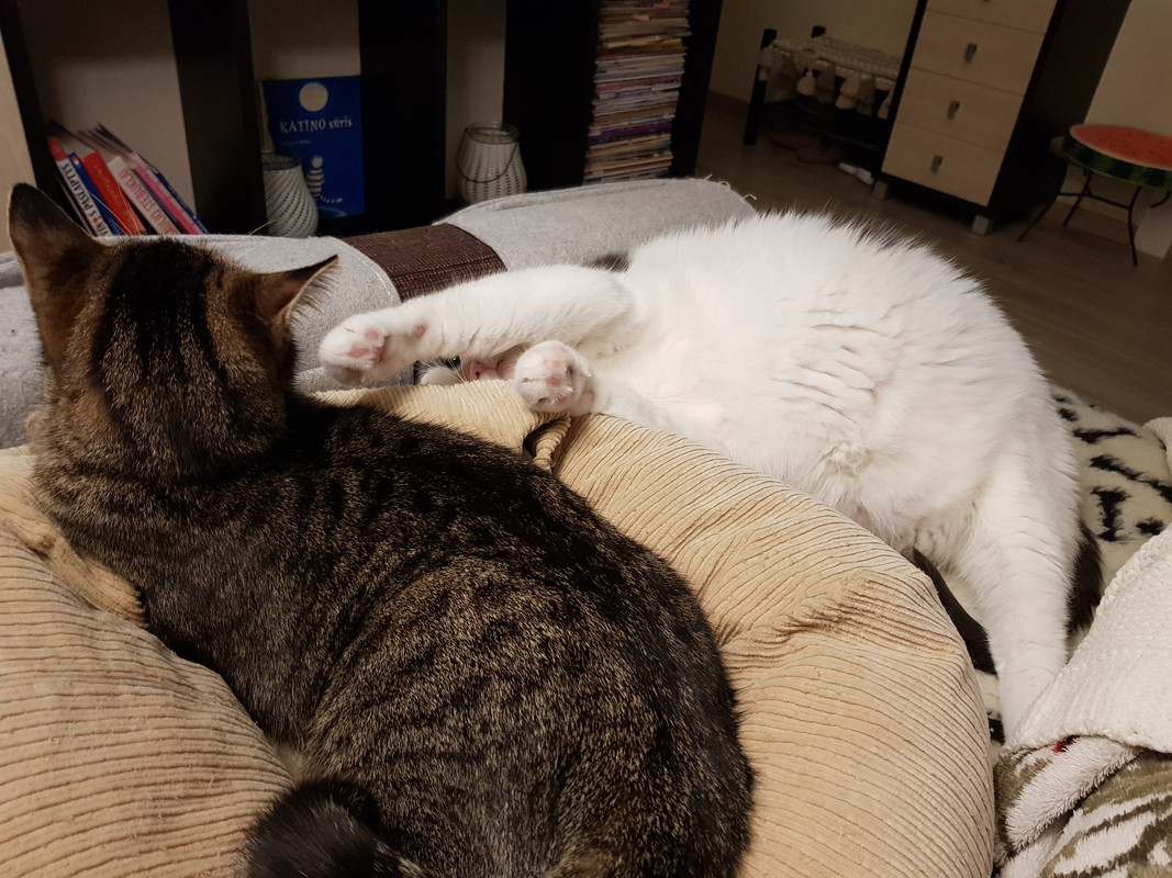 20190220-203425.jpg