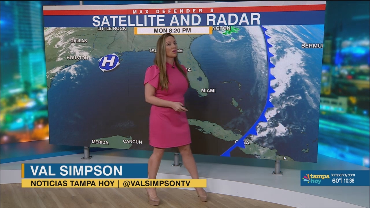 Noticias Tampa Hoy_20250318_02300300.ts_snapshot_07.56.718