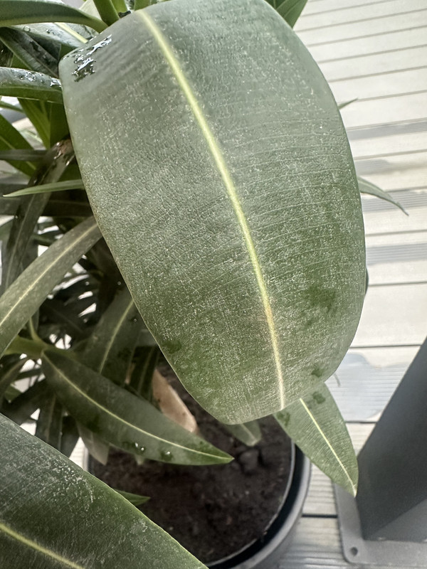 8AC4E9E4-7043-4643-9E5F-9797B81F65D5