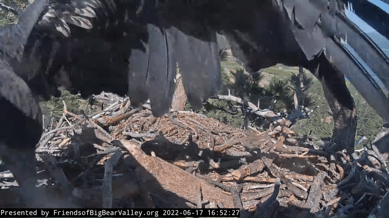 Webp.net-gifmaker (1)