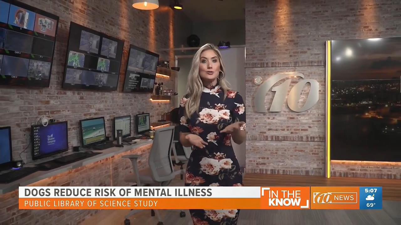 27 December - 09.30.00 - 10 News Brightside at 4 30am. Local new