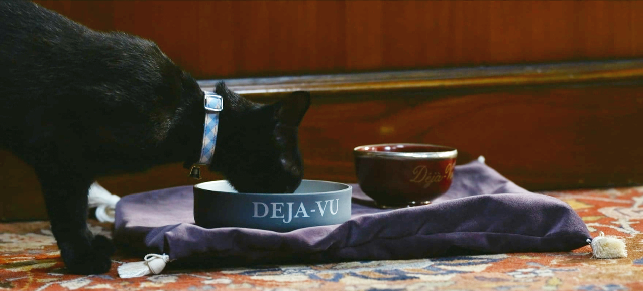 cat-deja-vu-1.png