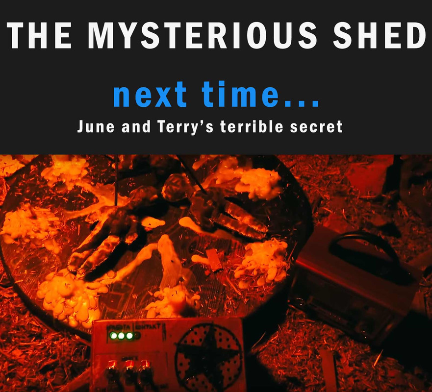 June and Terrys terrifying secret