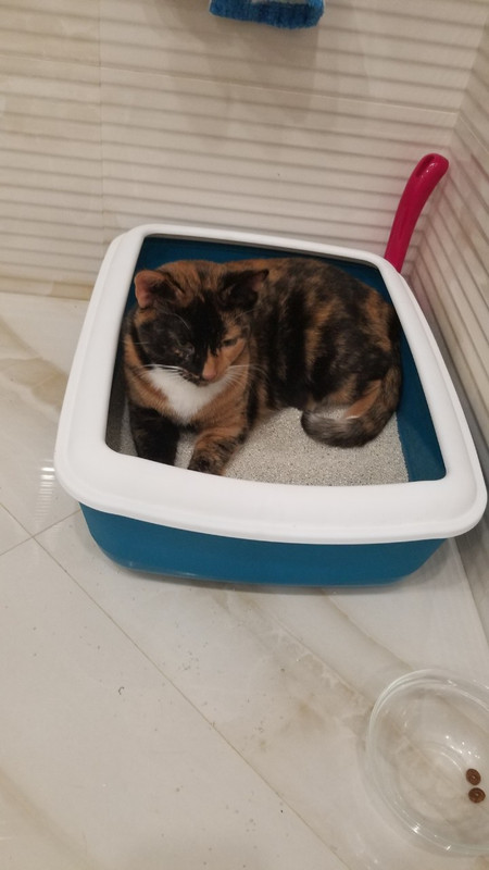 IMG-c952a1b763dfc64d4674654b592b6e28-V