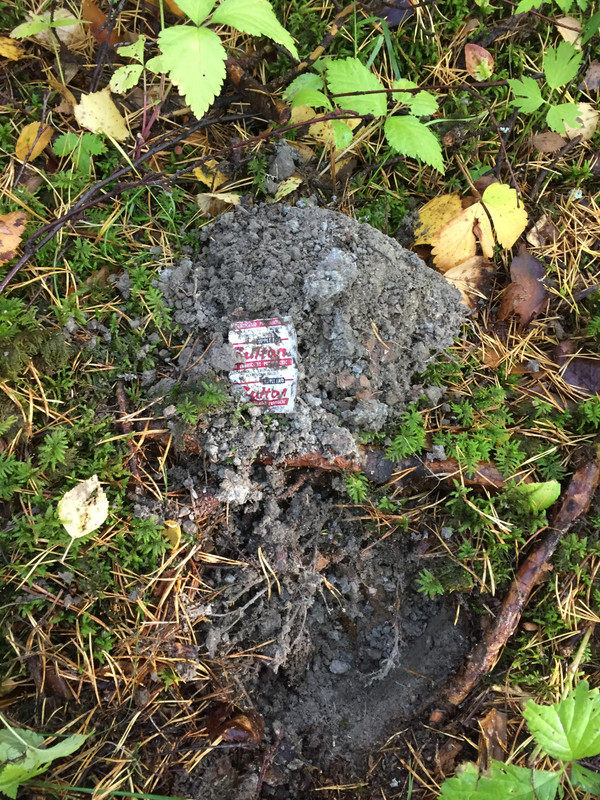 90047D02-F714-4C3D-9865-28621150C8F3