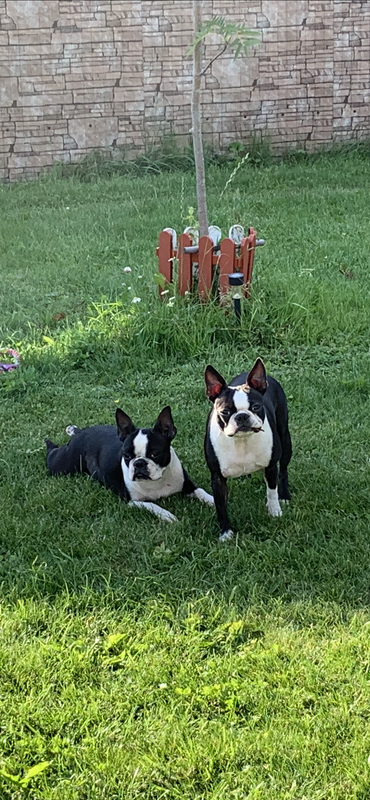 D4F3A709-D99E-4546-9241-5F6135D79E74