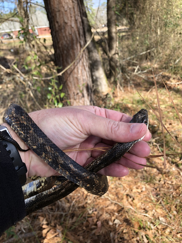 D80D0E3C-D069-40D0-9206-0E88BFF0F139