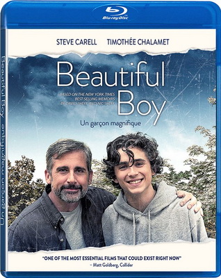 Beautiful Boy (2018) .mkv iTA-ENG Bluray 1080p x264