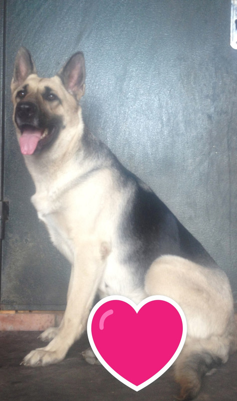 HCRXACUi1dw-Bymbted398xRa3adCFSIlb1hIFoObbEcoN6LCa3_AY8QZUAGVLKKCJb0qlNvbhJnndGkA22b5ZgI