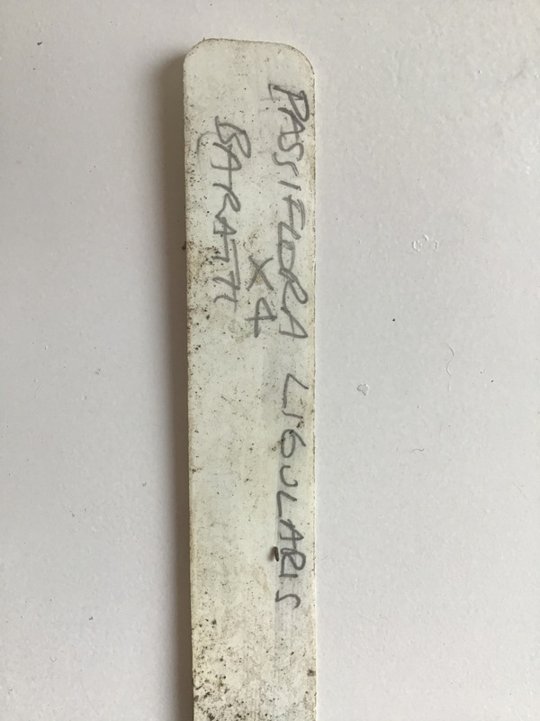 BF0D1F7A-4023-4CAA-A58C-00017A487D62