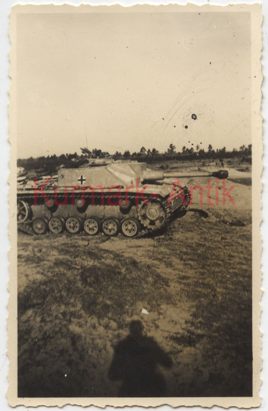 Foto Wehrmacht Gebirgsjäger Reg. 139 Panzer Stug Sturmgeschütz L