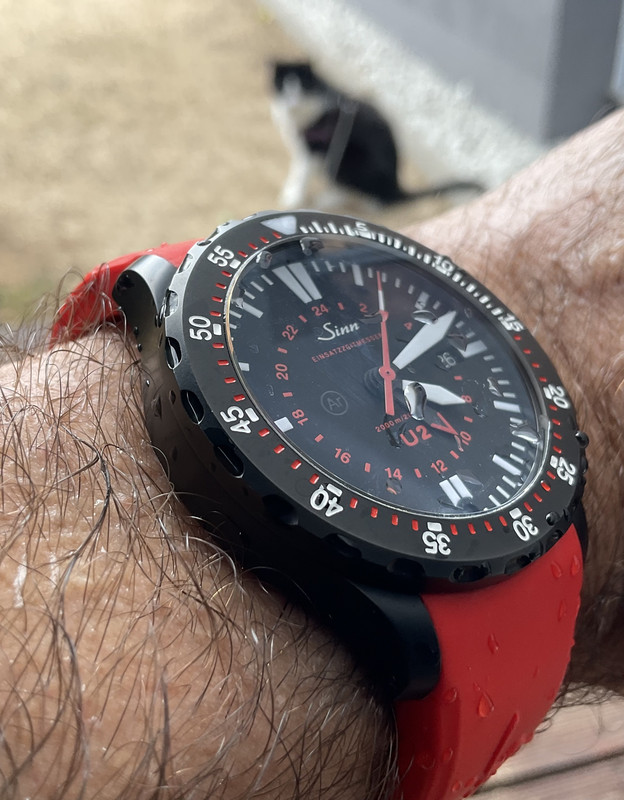 06F6AA43-3A0C-45B3-9E92-9EC6412AB017