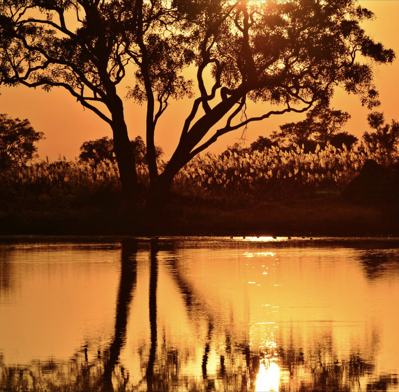 goldenreflectionlandscape.jpg