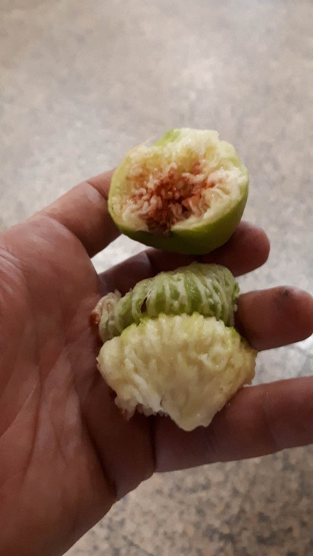 viber_изображение_2025-02-25_17-39-29-582