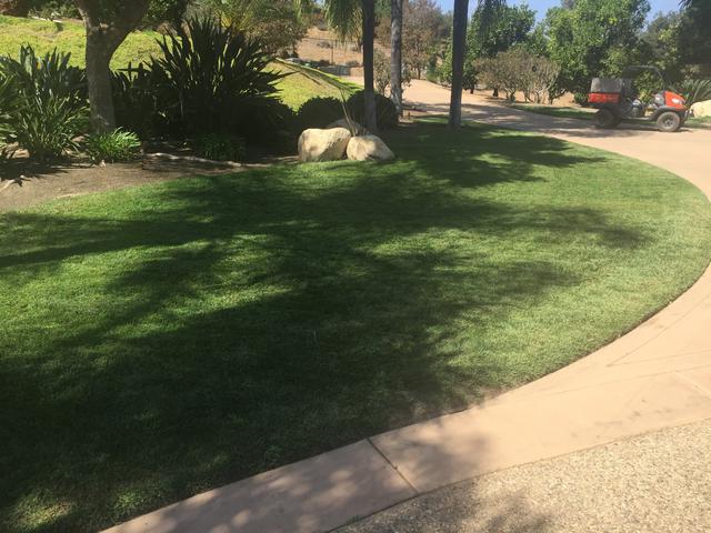 3BA825BA-C289-4F8A-8219-79026419A8E9