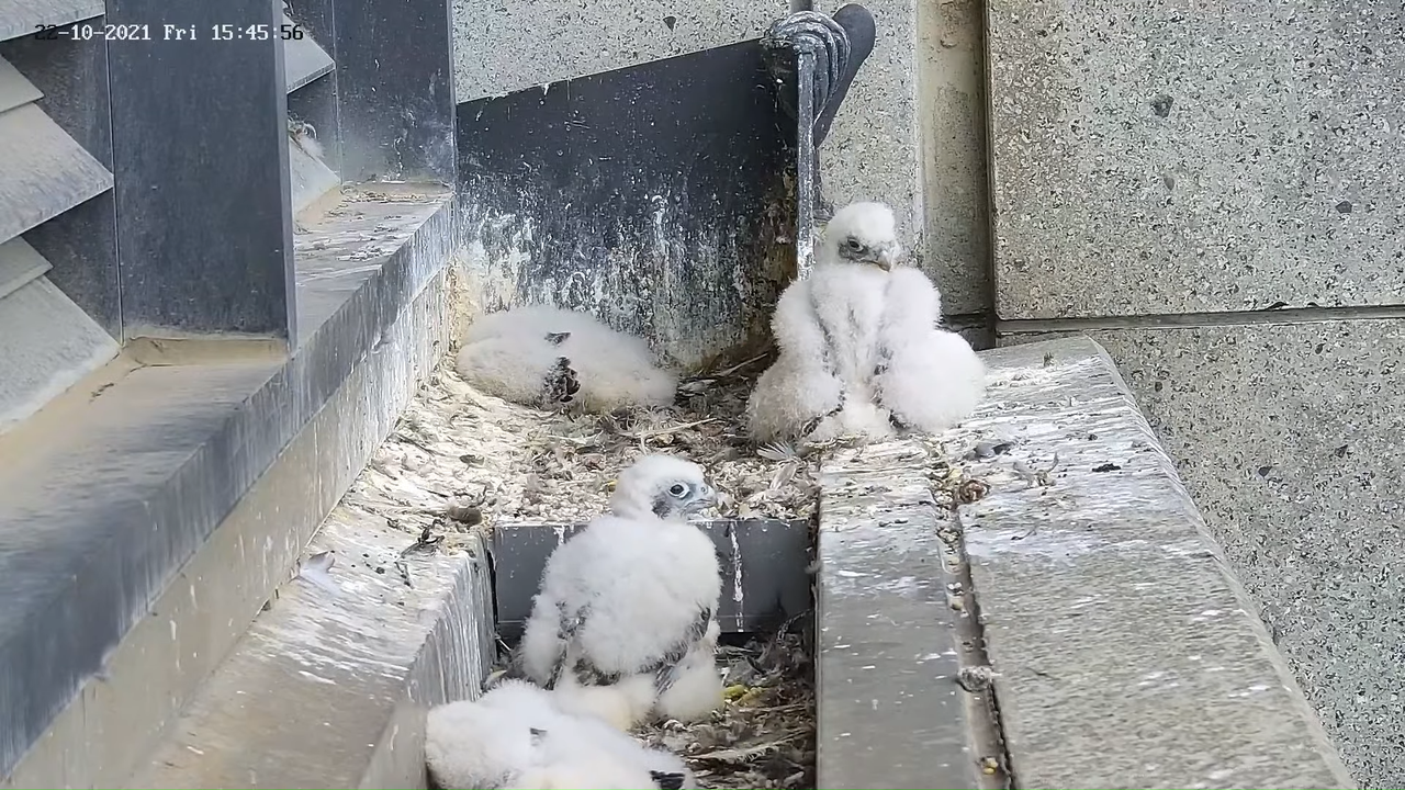 _5-5-15 screenshot (1)