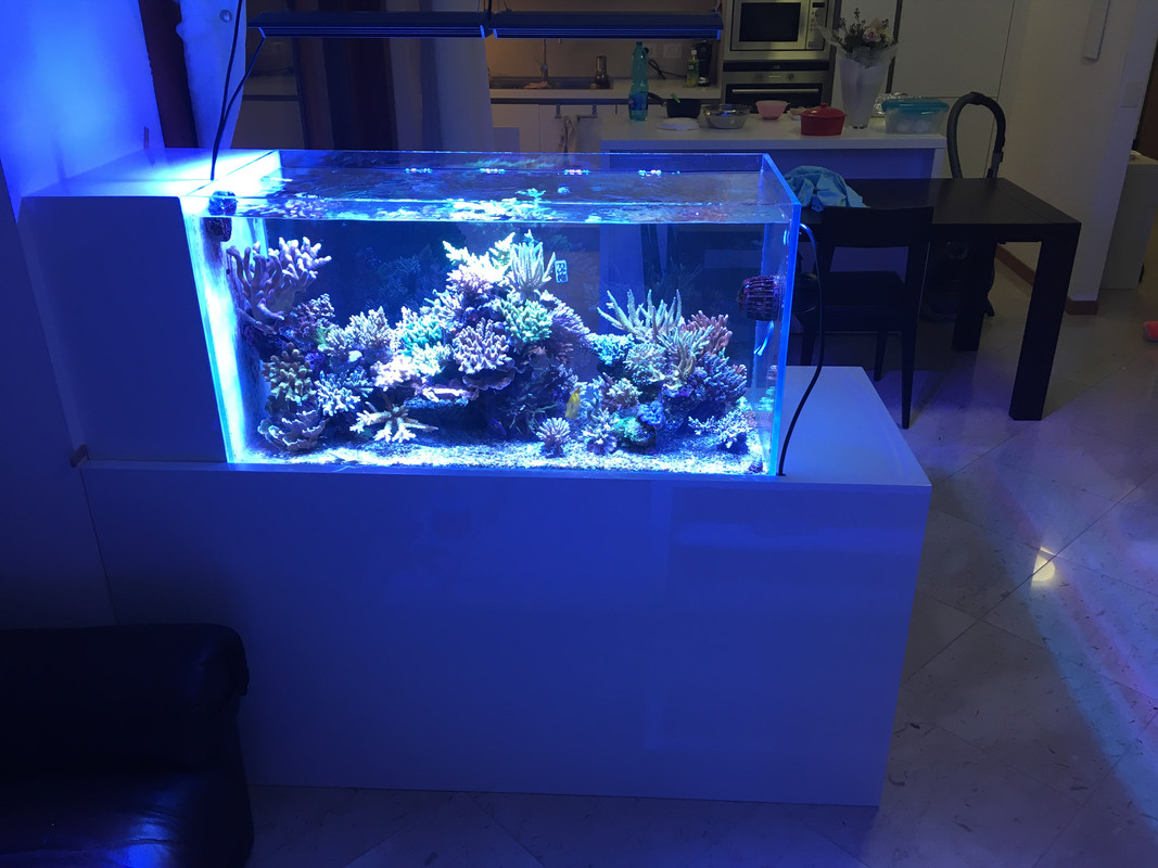 5243A13D-15A9-437F-942F-4BCFCB9680F7