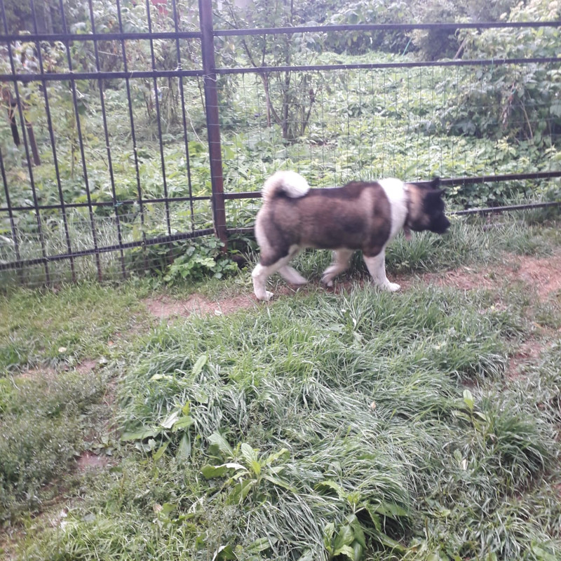 6B6D0B8A-F9A5-44A1-8ABA-19A08AF1B0D6