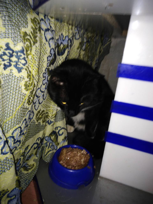 4399005B-D705-40B4-B1BE-5FE223D8343E