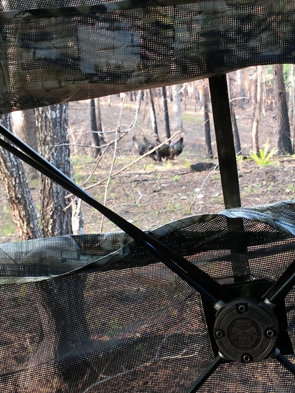 IMG_20230425_081216256