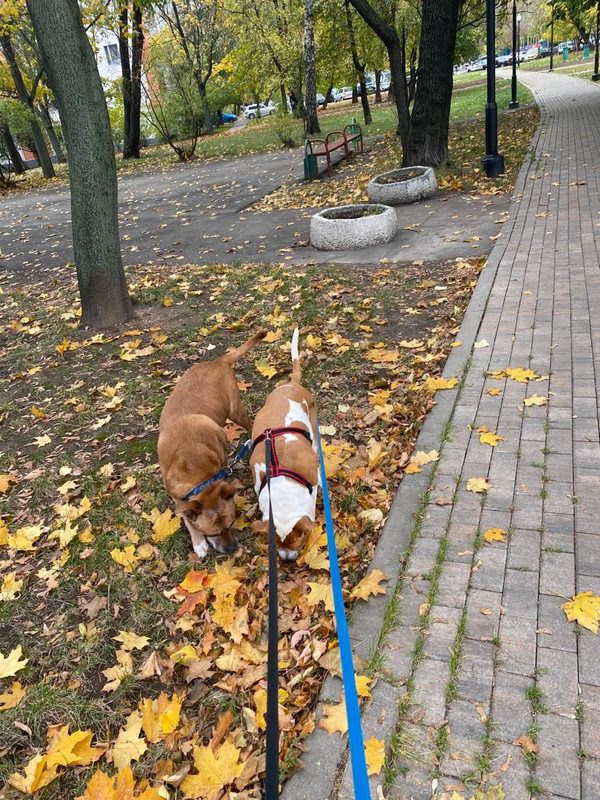 19A8D0A0-CC8E-4579-85CE-42F90554F152