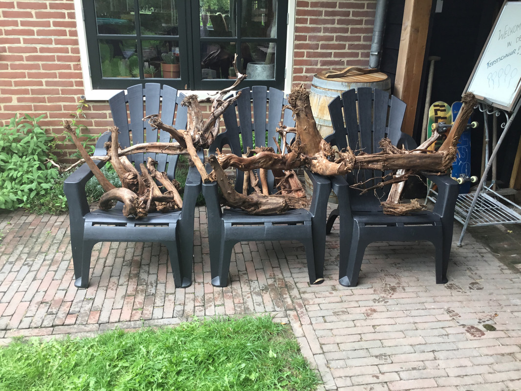 11DF8851-C455-48C3-A47E-7215731FF4A5