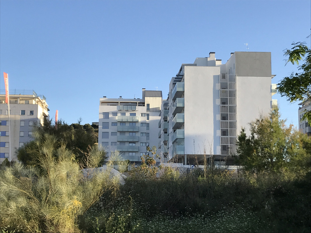 FB7B7838-0F12-47D3-9628-9D5345596AFD