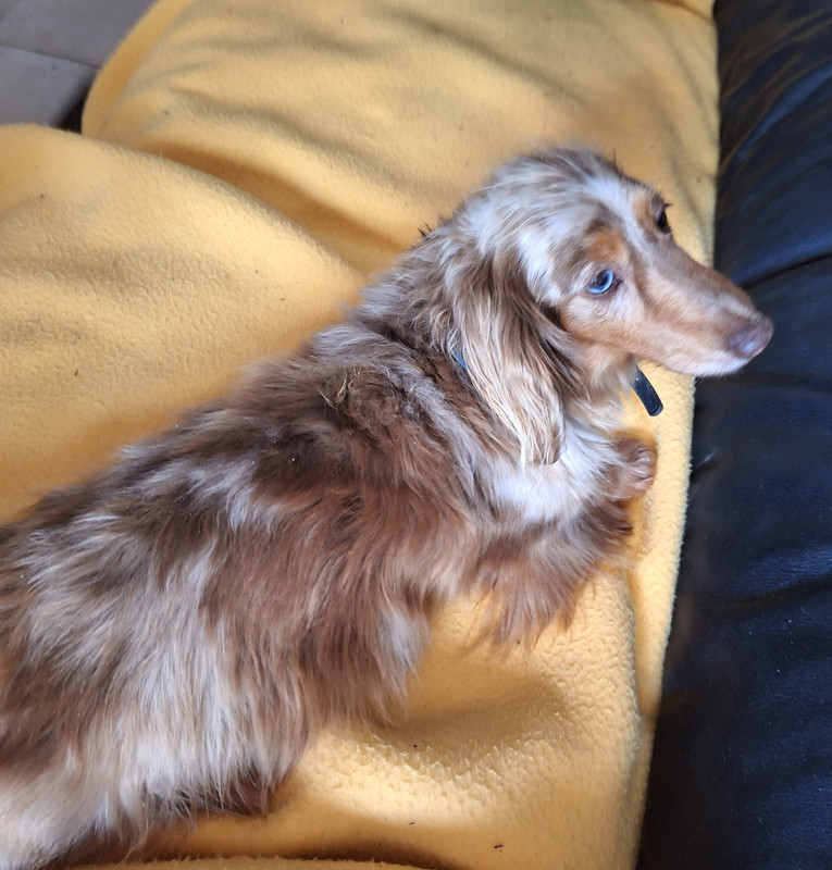 [Image: 20240428-171025-0.jpg]