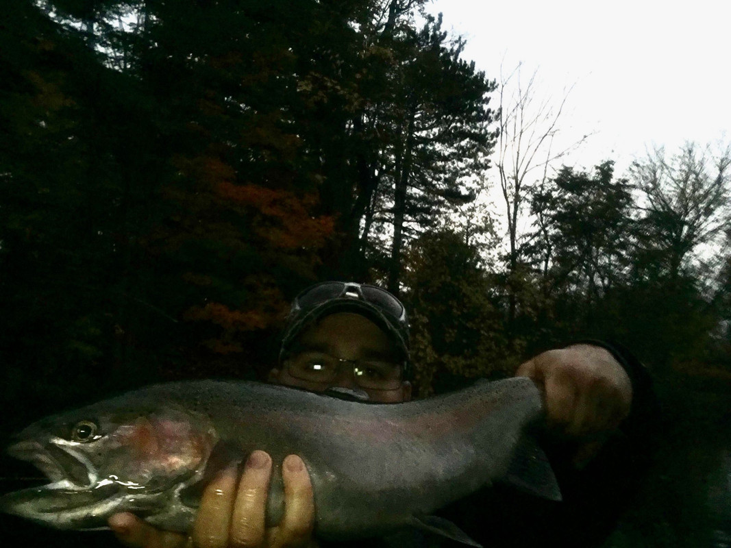 449D3818-0755-47AE-9474-78851A2B4454