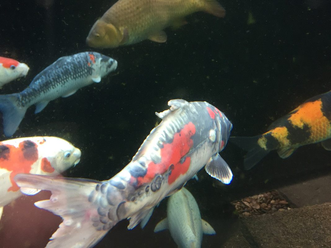 A12563B2-475F-4DE5-B29F-1CB5A45F1BCE