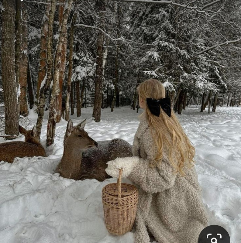 Screenshot_20231222_105854_Pinterest