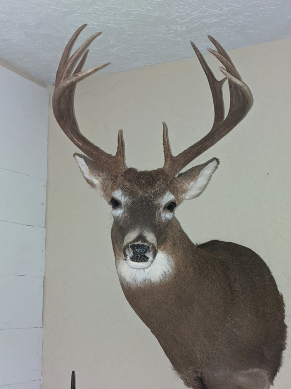 00000IMG_00000_BURST20191027125835539_COVER