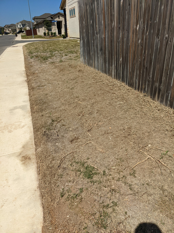 PXL_20220624_161059011.MP