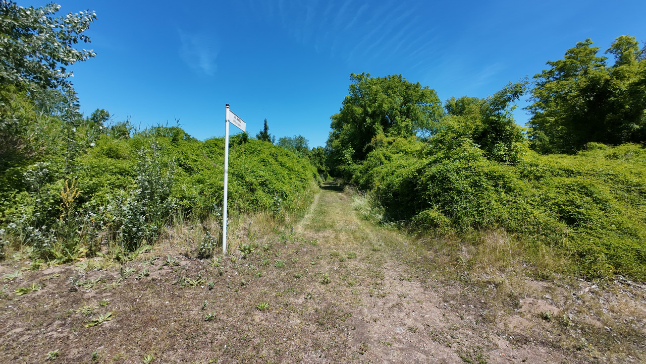 13 05 DJI 20250621124751 0393 D (Czesio1)