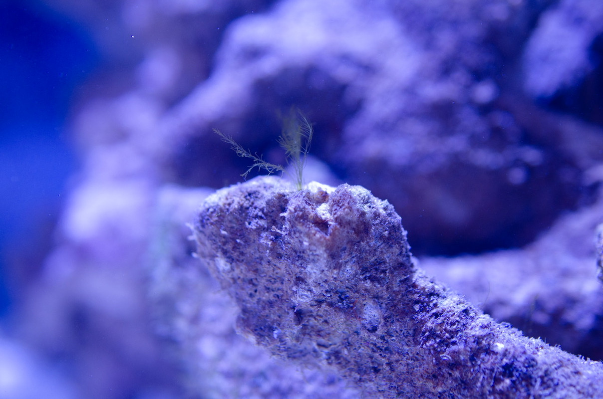 E46DDB8F-AA49-434F-8782-A59E44680FF1