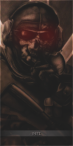 Pet2i.png