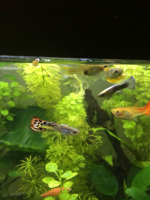 BC4165B4-499B-44C9-A044-363CE197EFD8