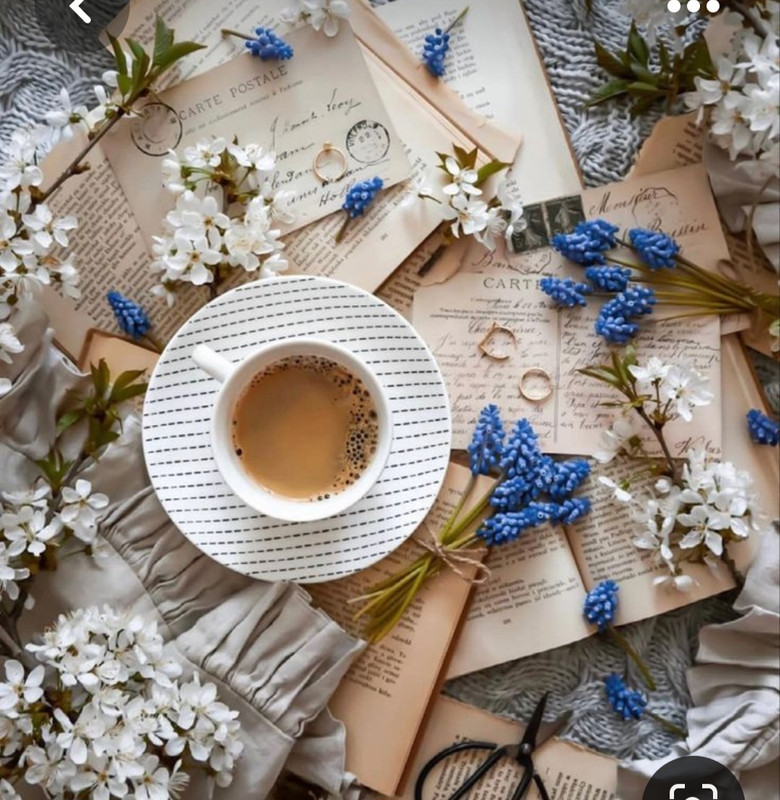 Screenshot_20230528_213559_Pinterest