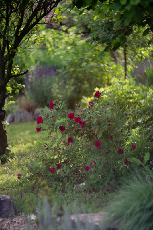 IMG-53d25c2373ebd530732de6779ef9e360-V